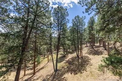 302 Cottonwood Drive, Evergreen, CO 80439 - Photo 4