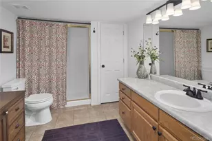 220 Timber Rd, Black Hawk, CO 80422 - Photo 16