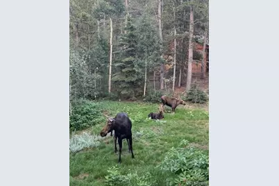 220 Timber Road, Black Hawk, CO 80422 - Photo 32