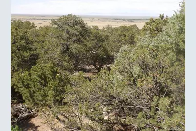 2720 N Carefree Way, Crestone, CO 81131 - Photo 6