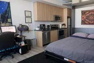 603 Inca St, Denver, CO 80204 - Photo 12