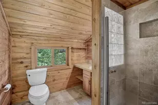 606 Clark Rd, Bailey, CO 80421 - Photo 30