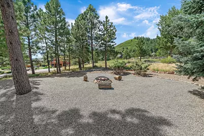 6407 Willow Broom Trail, Littleton, CO 80125 - Photo 32