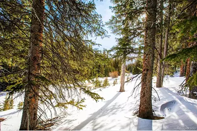 345 Bum Drive, Fairplay, CO 80440 - Photo 24