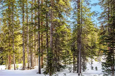 345 Bum Drive, Fairplay, CO 80440 - Photo 20