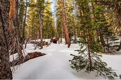 345 Bum Drive, Fairplay, CO 80440 - Photo 18