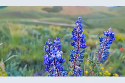 1931 Commanche Trail, Westcliffe, CO 81252 - Photo 26