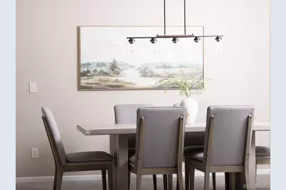 10048 Brisbane Way, Highlands Ranch, CO 80130 - Photo 6