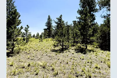 127 Boulder Road, Hartsel, CO 80449 - Photo 2