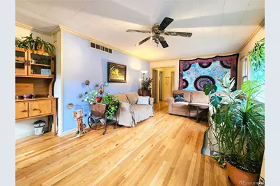 310 Virginia Street, Idaho Springs, CO 80452 - Photo 14