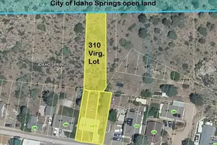 310 Virginia St, Idaho Springs, CO 80452 - Photo 30