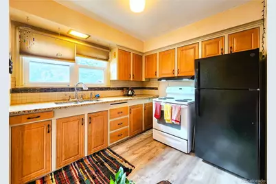 310 Virginia Street, Idaho Springs, CO 80452 - Photo 10