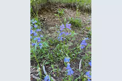 13963 N Trail Circle, Littleton, CO 80127 - Photo 34