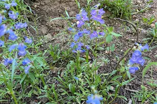 13963 N Trail Cir, Littleton, CO 80127 - Photo 34