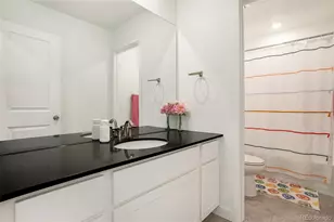 14818 Dahlia St, Thornton, CO 80602 - Photo 18