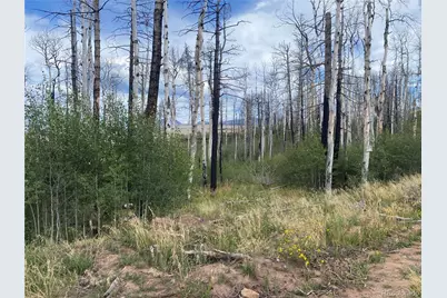 1923-1924 Korlkoff Lane, Fort Garland, CO 81133 - Photo 8