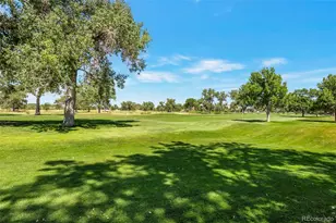 6699 S Helena St, Centennial, CO 80016 - Photo 8