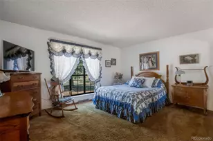 6699 S Helena St, Centennial, CO 80016 - Photo 16