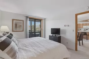 200 E La Bonte Street, Dillon, CO 80435 - Photo 16