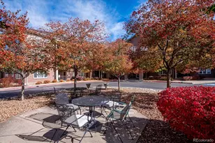 2896 W Riverwalk Cir, Littleton, CO 80123 - Photo 28