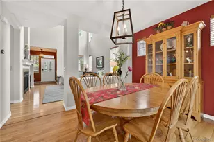 10672 Riverbrook Cir, Highlands Ranch, CO 80126 - Photo 8