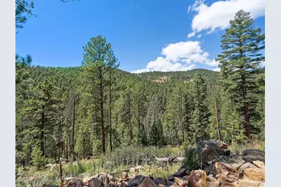 13809 Elsie Road, Conifer, CO 80433 - Photo 16