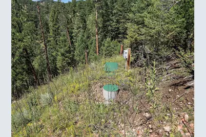 13809 Elsie Road, Conifer, CO 80433 - Photo 18