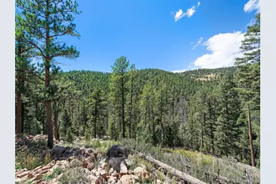 13809 Elsie Road, Conifer, CO 80433 - Photo 12