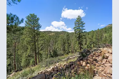 13809 Elsie Road, Conifer, CO 80433 - Photo 14