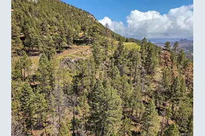 13809 Elsie Road, Conifer, CO 80433 - Photo 6