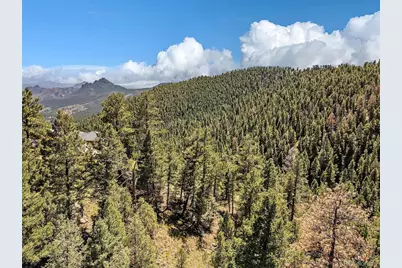 13809 Elsie Road, Conifer, CO 80433 - Photo 2