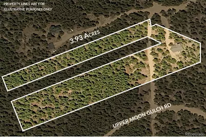1301 Upper Moon Gulch Road, Rollinsville, CO 80474 - Photo 34