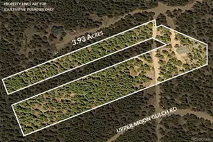 1301 Upper Moon Gulch Rd, Rollinsville, CO 80474 - Photo 34