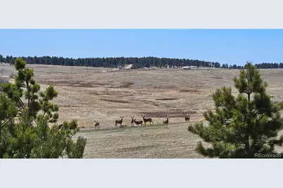 7190 Nautique Circle, Larkspur, CO 80118 - Photo 8
