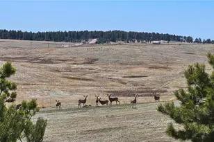 7190 Nautique Cir, Larkspur, CO 80118 - Photo 8