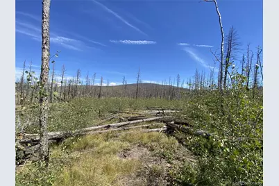 1637 Cary Lane, Fort Garland, CO 81133 - Photo 8