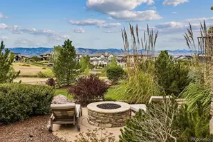 10845 Rainribbon Rd, Highlands Ranch, CO 80126 - Photo 6