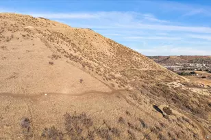 1044 Oleander St, Castle Rock, CO 80109 - Photo 40