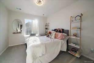 1044 Oleander St, Castle Rock, CO 80109 - Photo 20