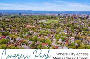 1260 York St, Denver, CO 80206 - Photo 26