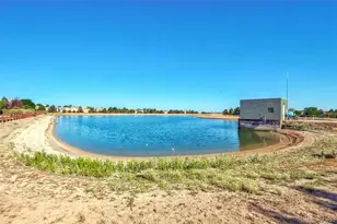 9318 Las Ramblas Ct, Parker, CO 80134 - Photo 48