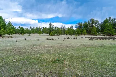 Tract 103 Doe Valley Road, Guffey, CO 80820 - Photo 6