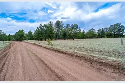 Tract 103 Doe Valley Road, Guffey, CO 80820 - Photo 8