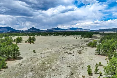 Tract 103 Doe Valley Road, Guffey, CO 80820 - Photo 24