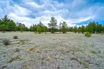 Tract 103 Doe Valley Road, Guffey, CO 80820 - Photo 14