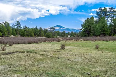 Tract 103 Doe Valley Road, Guffey, CO 80820 - Photo 4
