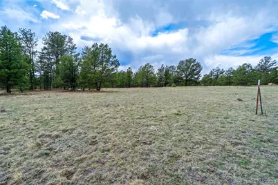 Tract 103 Doe Valley Road, Guffey, CO 80820 - Photo 16