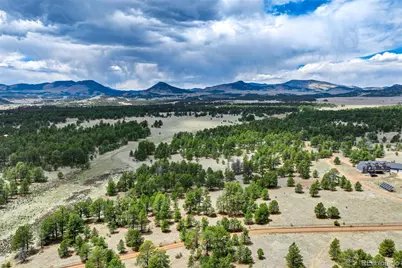 Tract 103 Doe Valley Road, Guffey, CO 80820 - Photo 42