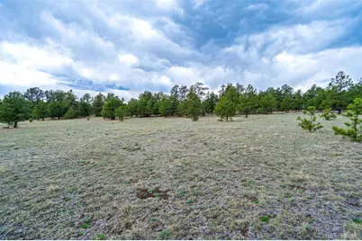 Tract 103 Doe Valley Road, Guffey, CO 80820 - Photo 12