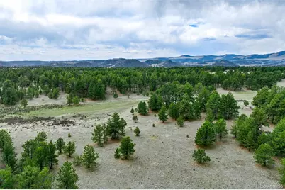Tract 103 Doe Valley Road, Guffey, CO 80820 - Photo 36